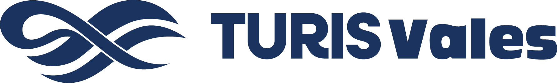 Logo azul horizontal